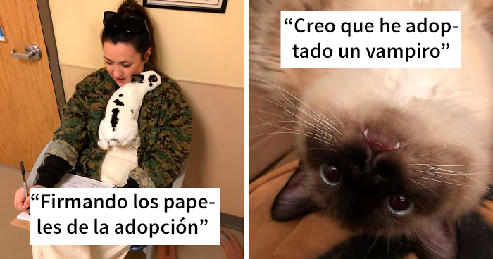40 Fotos muy reconfortantes de mascotas rescatadas en el mes de Marzo
