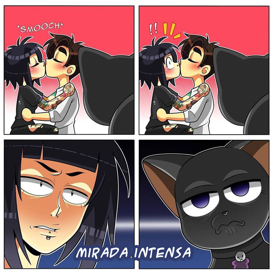 Gato Cotilla
