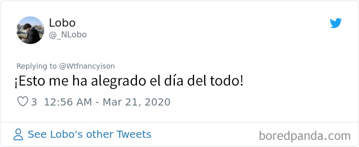 Este hombre en cuarentena envió a su perro con la misión de comprarle chetos, y eso hizo