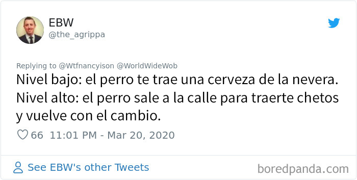 Este hombre en cuarentena envió a su perro con la misión de comprarle chetos, y eso hizo