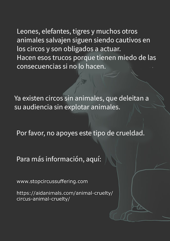 La artista que nos hizo llorar con el cómic del gato negro vuelve con otro más