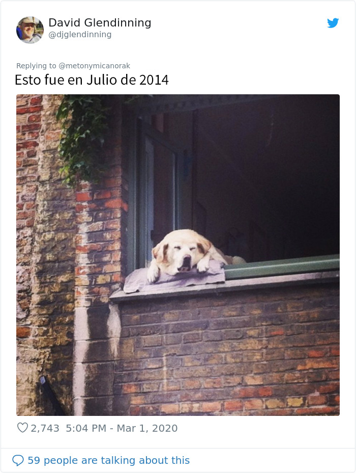 Tras fallecer el 