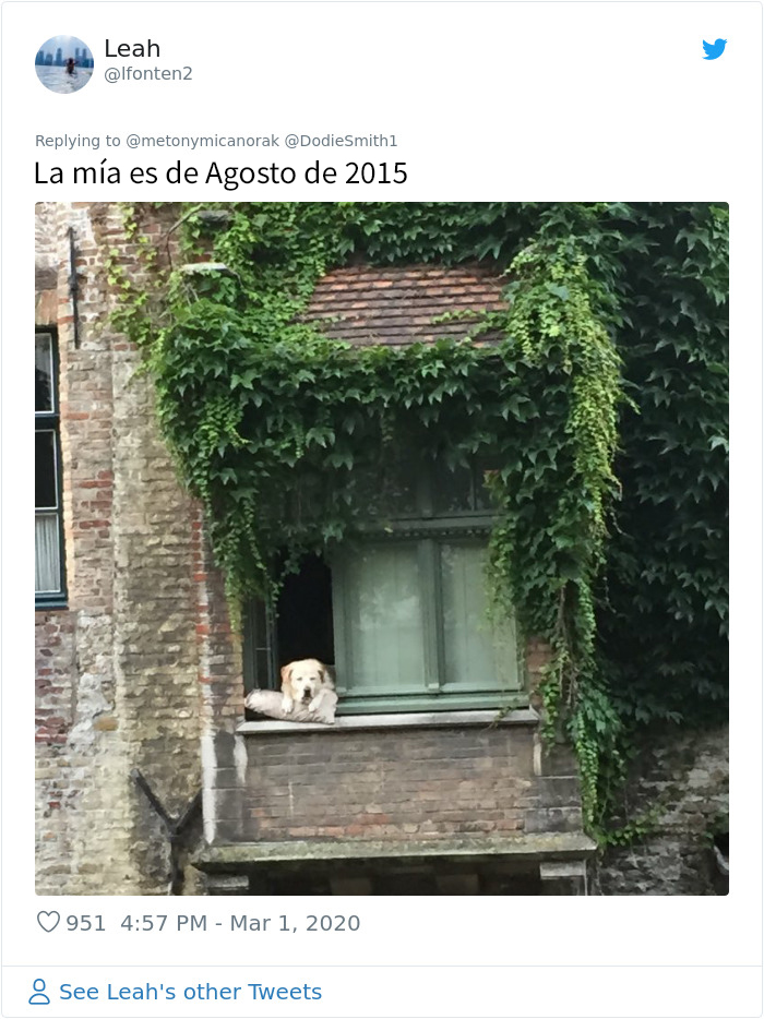 Tras fallecer el 