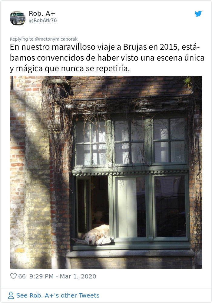Tras fallecer el 
