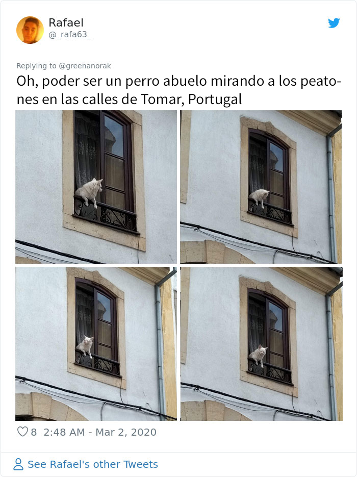 Tras fallecer el 