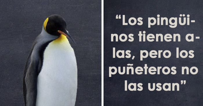 Estas 15 «guías» animales creadas por Dave son tan ridículas que te harán reír