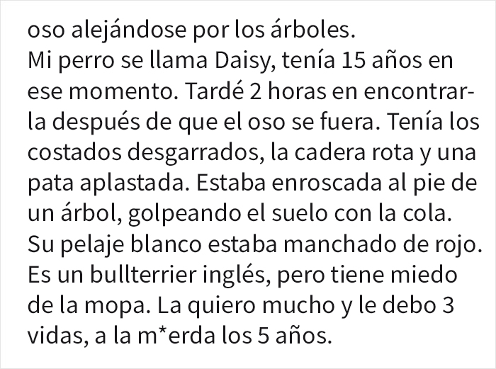 Preguntaron a dueños de perros si les darían 5 años de su vida a sus mascotas, y esta respuesta se volvió viral