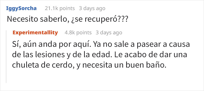 Preguntaron a dueños de perros si les darían 5 años de su vida a sus mascotas, y esta respuesta se volvió viral