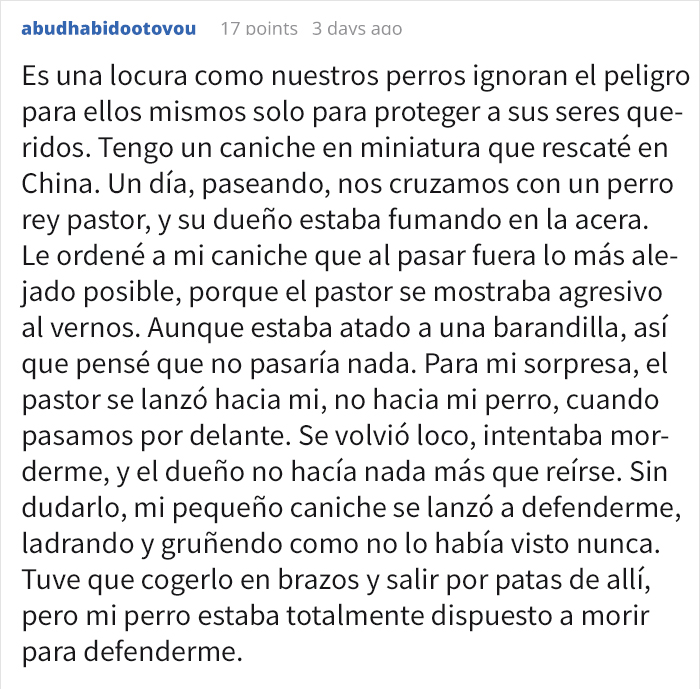Preguntaron a dueños de perros si les darían 5 años de su vida a sus mascotas, y esta respuesta se volvió viral