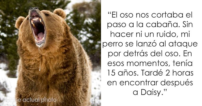 Preguntaron a dueños de perros si les darían 5 años de su vida a sus mascotas, y esta respuesta se volvió viral