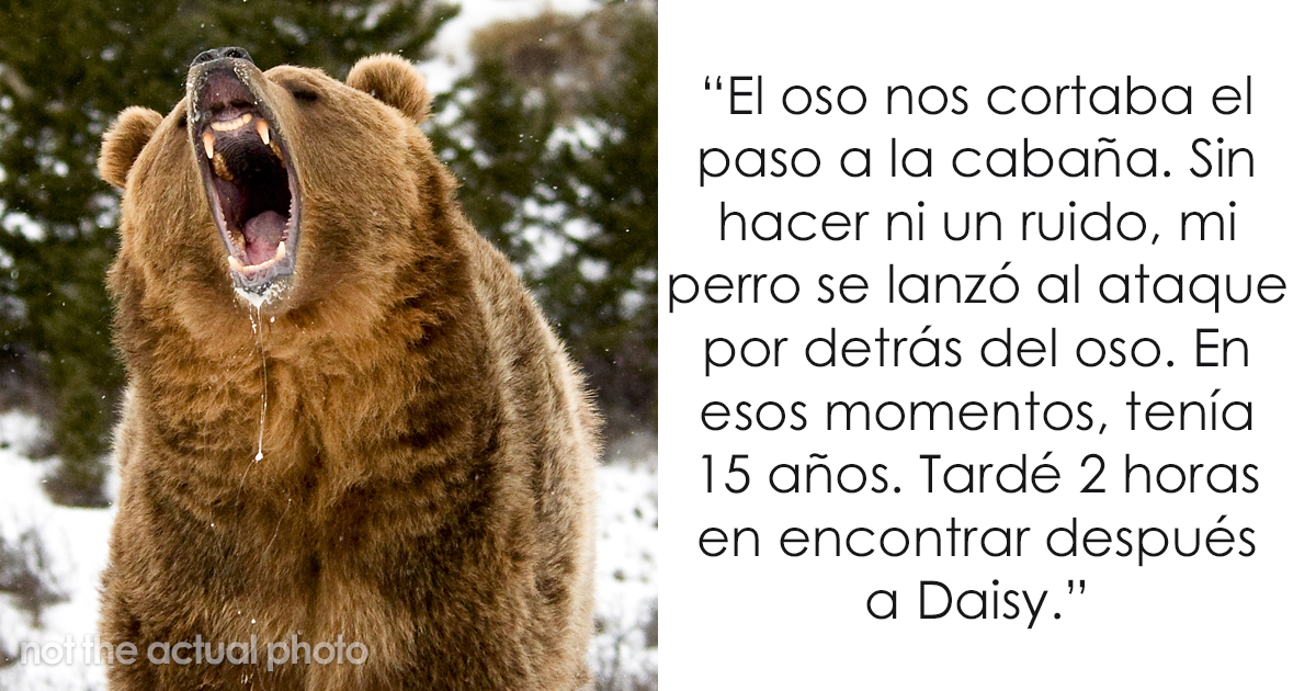 Preguntaron a dueños de perros si les darían 5 años de su vida a sus mascotas, y esta respuesta se volvió viral