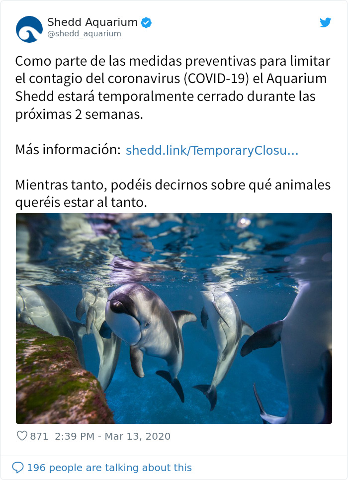 Tras cerrar sus puertas, este acuario saca a sus pingüinos de paseo por las instalaciones