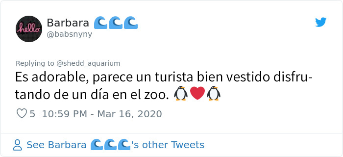 Tras cerrar sus puertas, este acuario saca a sus pingüinos de paseo por las instalaciones