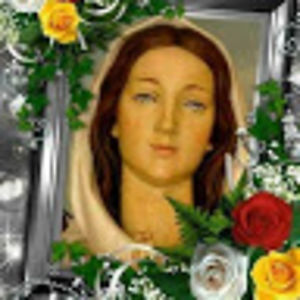 marinacamacaro avatar