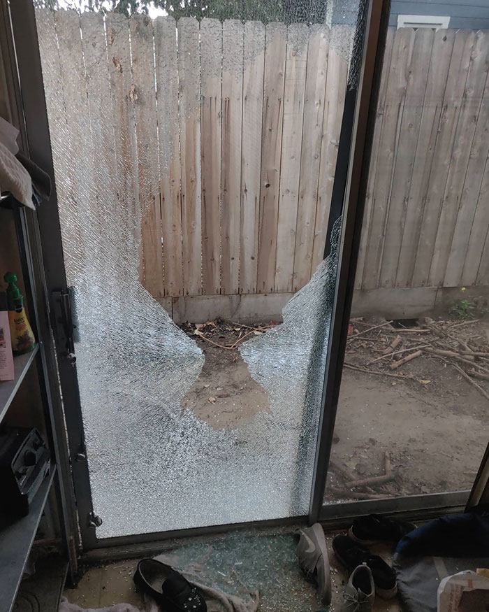 Llevo En Casa 3 Semanas, Salgo 10 Minutos Y Unos Niños Se Dedican A Disparar Balines Contra Mi Ventana