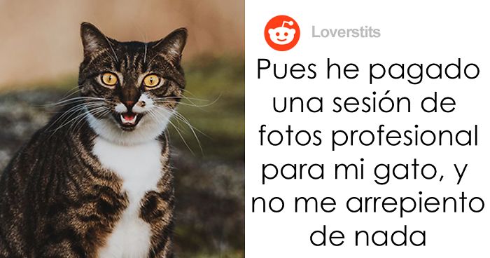 Esta mujer pagó una sesión de fotos profesional para su gato, y no se arrepiente de nada (17 fotos)