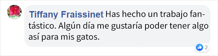 Este hombre construyó 2 torres para sus gatos, y las quiere tanta gente que va a vender las instrucciones para construirlas