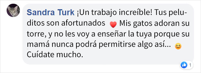 Este hombre construyó 2 torres para sus gatos, y las quiere tanta gente que va a vender las instrucciones para construirlas