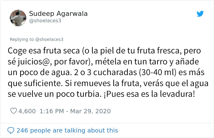 Este biólogo se sorprendió al saber que hay escasez de levadura, así que enseña cómo hacerla en casa