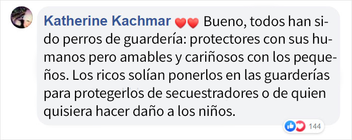 Este perro busca a los perros más peludos de la guardería para echarse la siesta con ellos