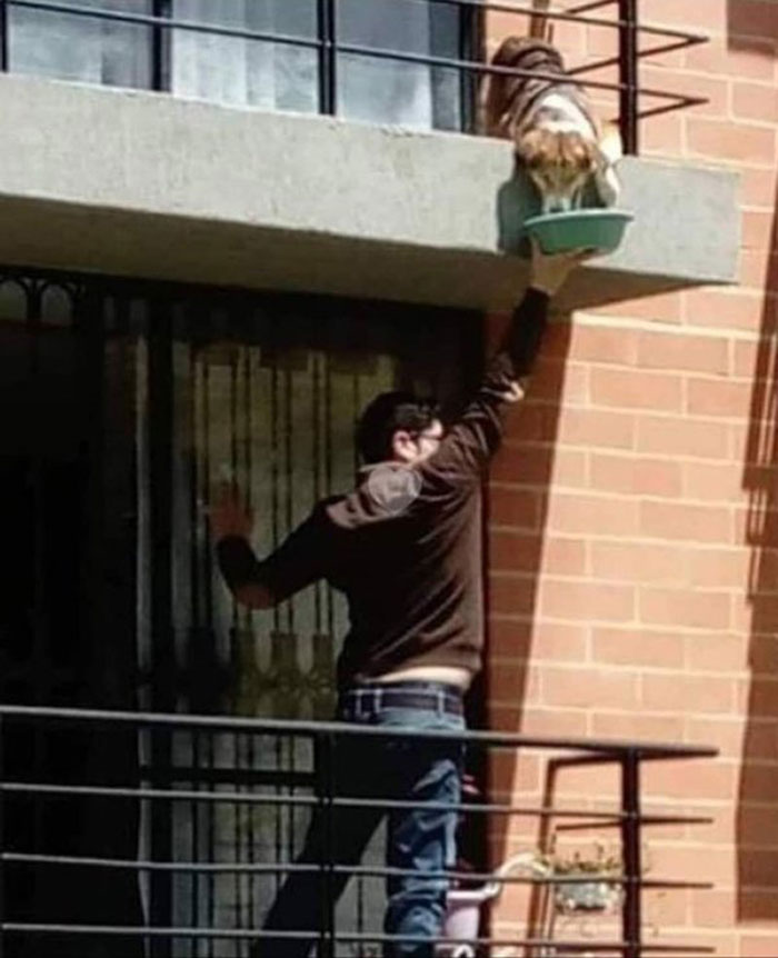 Hombre Alimentando Al Perro De Su Vecino Enfermo