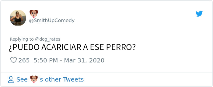 Este adorable perro insiste en acariciar a otros perros en la guardería, y les confunde pero lo aceptan