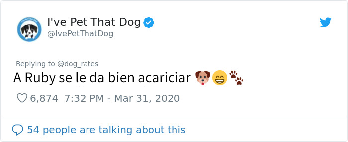 Este adorable perro insiste en acariciar a otros perros en la guardería, y les confunde pero lo aceptan