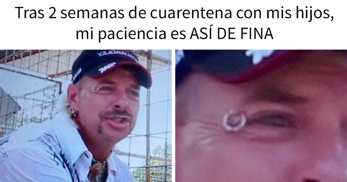 Los 20 mejores memes inspirados por la serie Tiger King