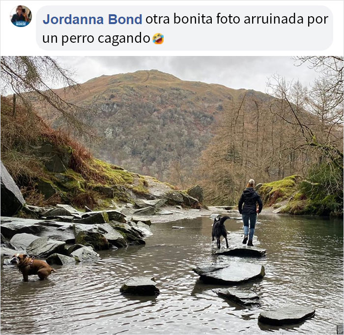 Este hombre preguntó si otros perros también hacen caca en posturas extrañas como el suyo, y recibió 35 fotos como respuesta