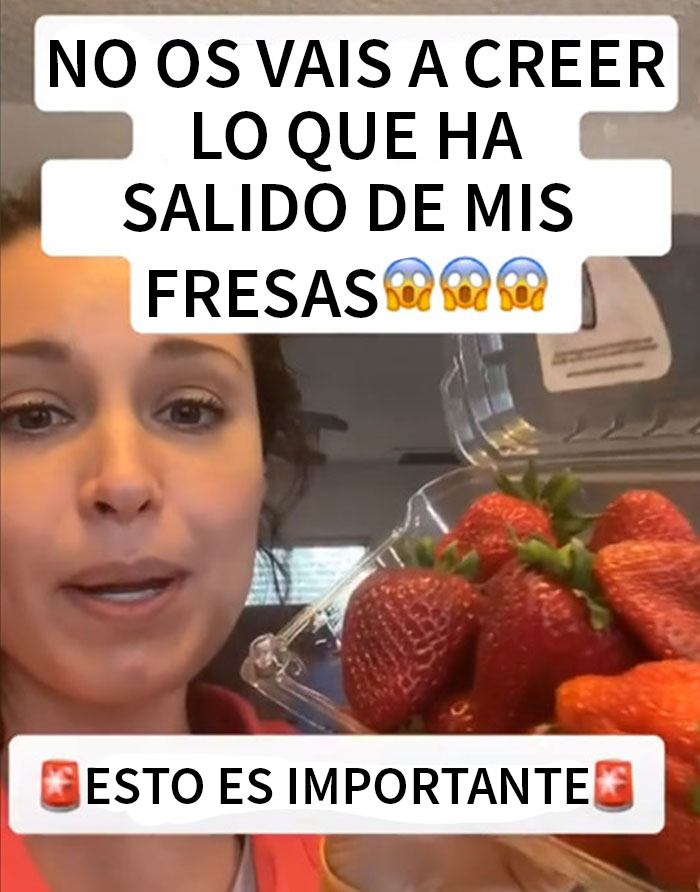 Parece que si pones fresas en remojo en agua con sal, salen bichos de ellas