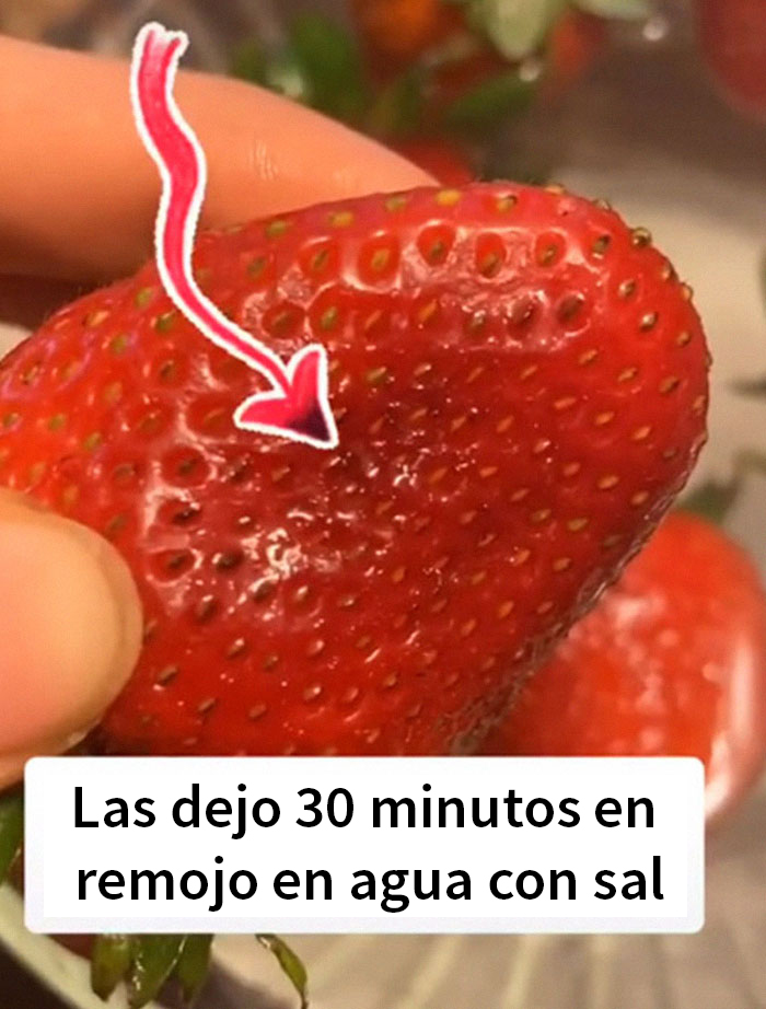 Parece que si pones fresas en remojo en agua con sal, salen bichos de ellas