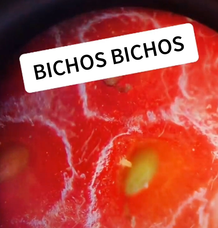 Parece que si pones fresas en remojo en agua con sal, salen bichos de ellas