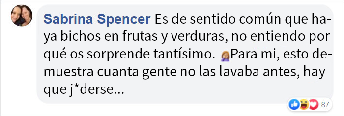 Parece que si pones fresas en remojo en agua con sal, salen bichos de ellas