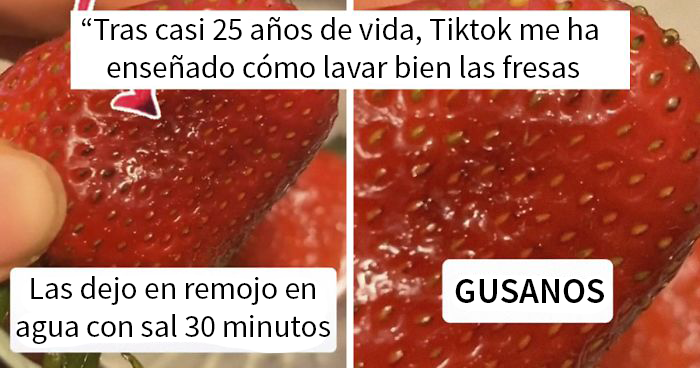 Parece que si pones fresas en remojo en agua con sal, salen bichos de ellas
