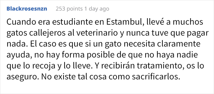 Esta mamá gata llevó a su gatito enfermo al hospital, y los médicos se apresuraron a ayudarlos