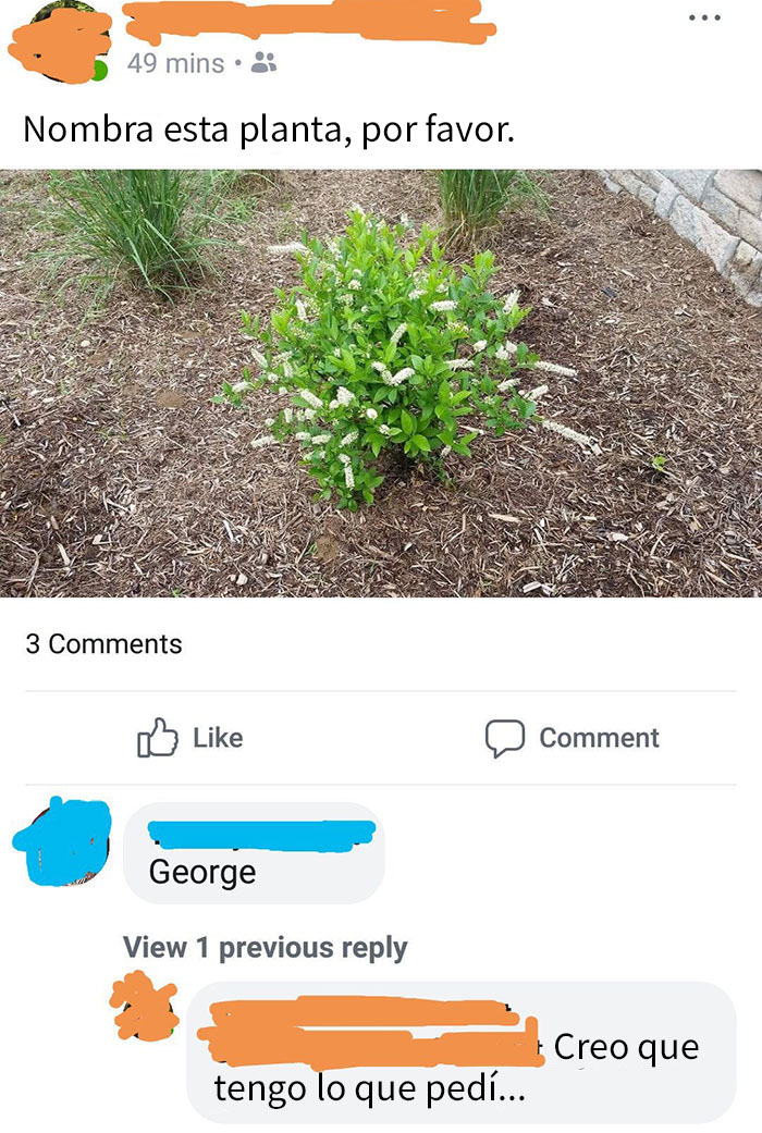 Nombra Esta Planta