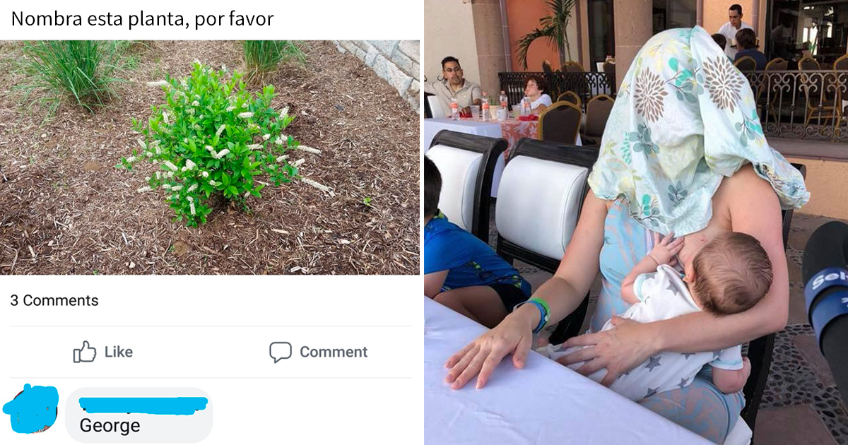 30 Personas que hicieron exactamente lo que les pedían, pero con divertidos resultados