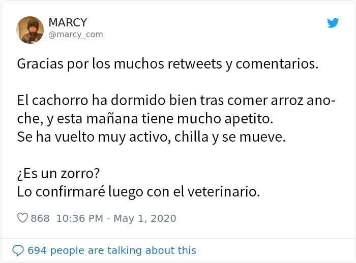 Este japonés pidió ayuda en redes sociales para encontrar a los dueños de un "perrito" que encontró, y resulta que no era un perrito