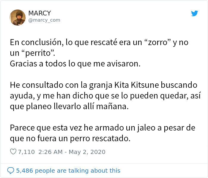 Este japonés pidió ayuda en redes sociales para encontrar a los dueños de un "perrito" que encontró, y resulta que no era un perrito