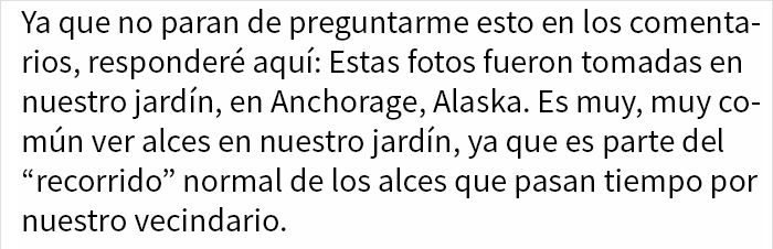 Este alce y sus crías decidieron pasar el día en el jardín de esta familia, y lo documentaron