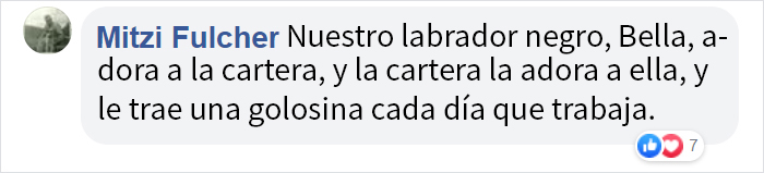 Este golden retriever adora a los repartidores de su zona, y su dueña comienza a grabar su rutina diaria con ellos