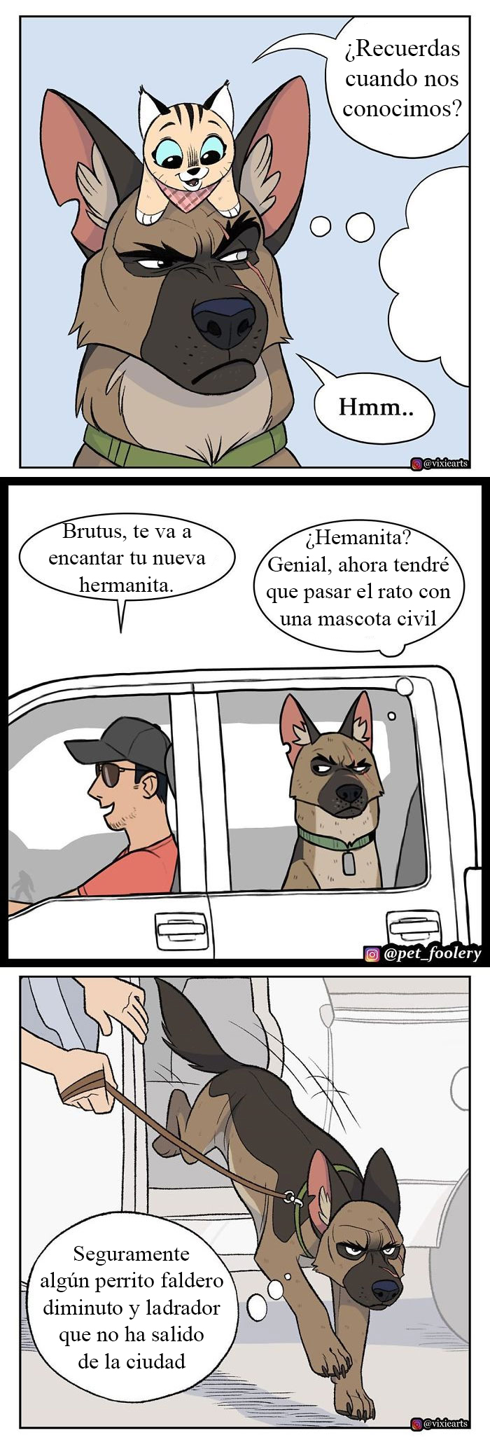 Los cómics de Pixie y Brutus ya tienen 2'3 millones de seguidores y aquí tienes 10 tiras nuevas