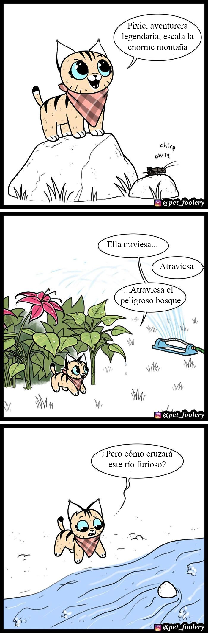 Los cómics de Pixie y Brutus ya tienen 2'3 millones de seguidores y aquí tienes 10 tiras nuevas