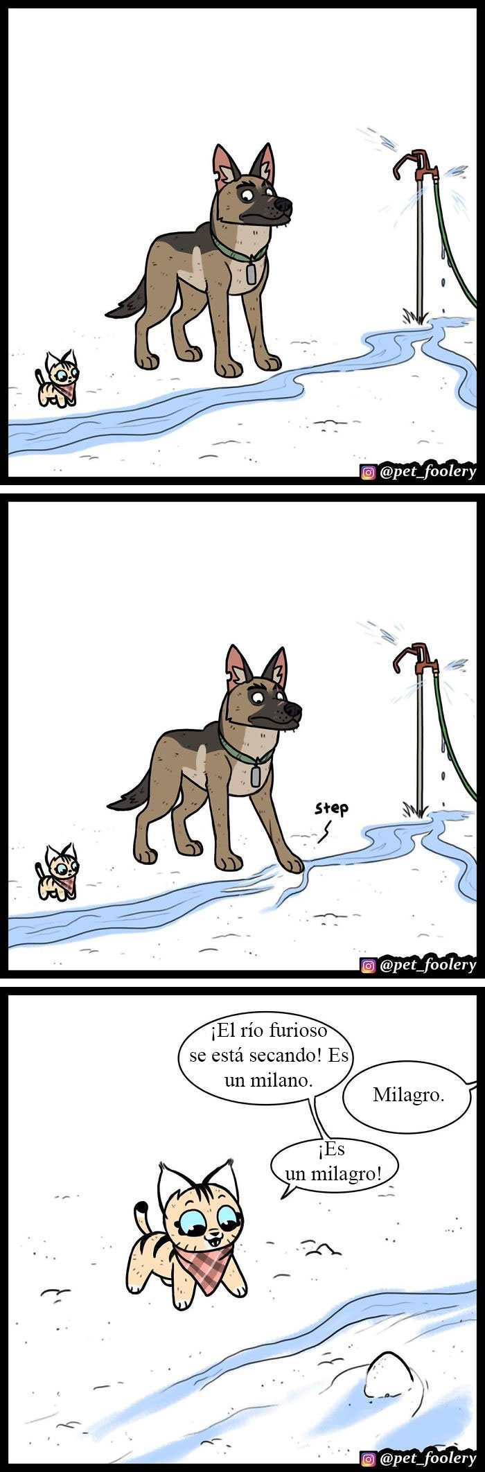 Los cómics de Pixie y Brutus ya tienen 2'3 millones de seguidores y aquí tienes 10 tiras nuevas