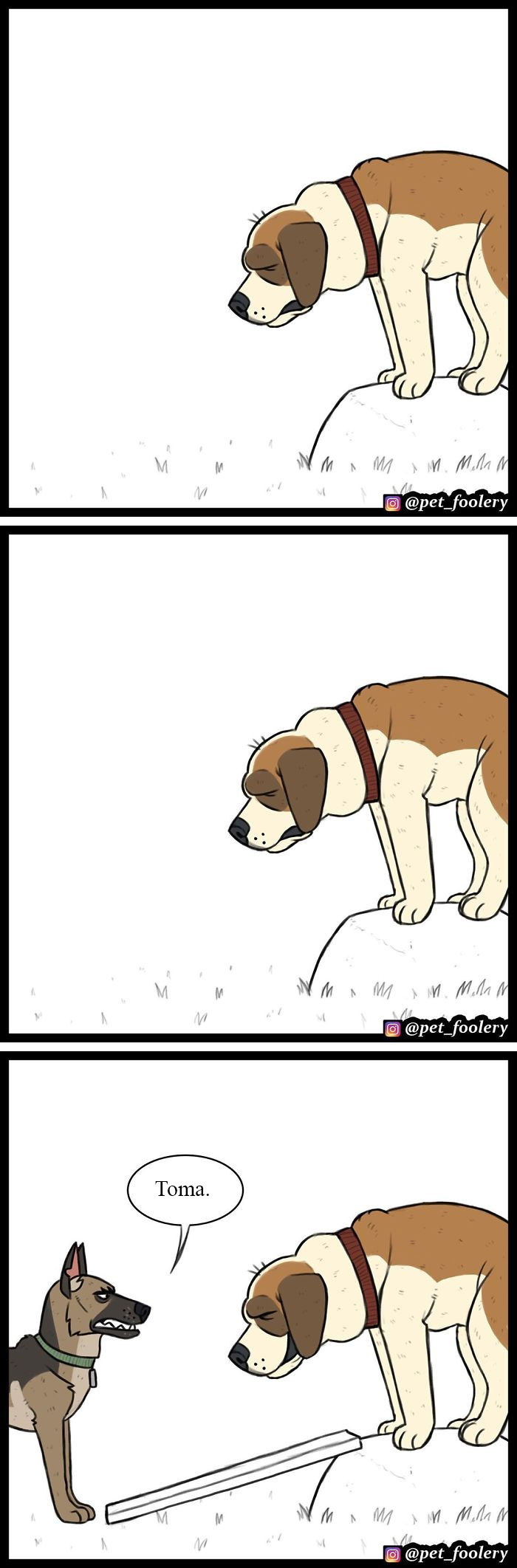 Los cómics de Pixie y Brutus ya tienen 2'3 millones de seguidores y aquí tienes 10 tiras nuevas