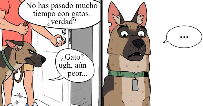 Los cómics de Pixie y Brutus ya tienen 2’3 millones de seguidores y aquí tienes 10 tiras nuevas