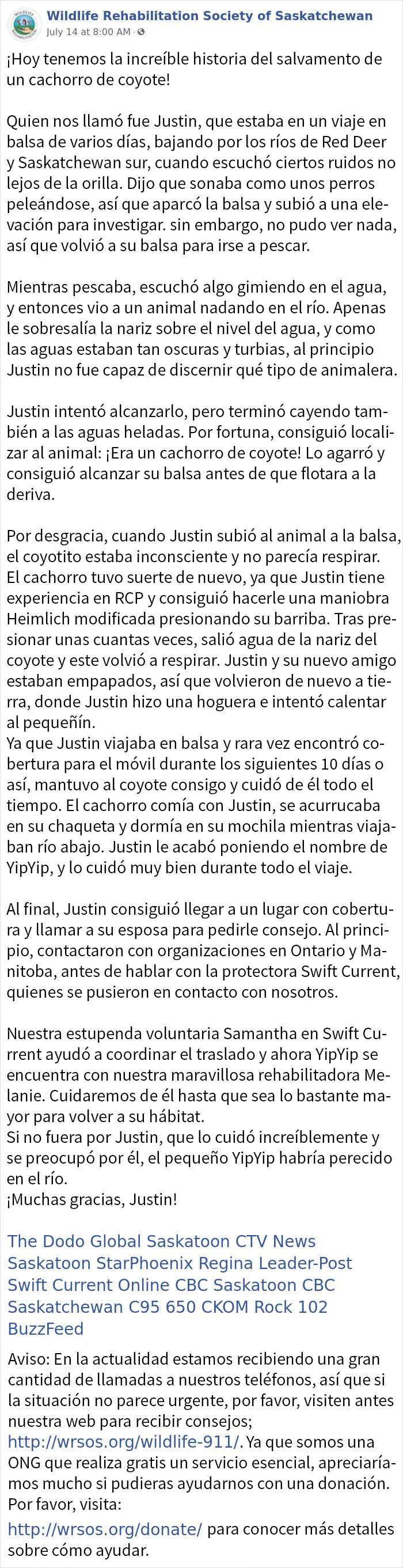 Este canadiense salvó a un cachorro de coyote de ahogarse, y se lo llevó con él durante su viaje en balsa de 10 días