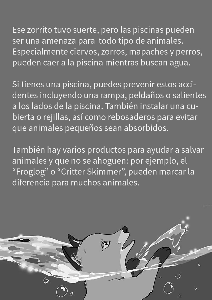 Esta artista que siempre nos hace llorar con sus cómics, ha sacado uno nuevo, pero esta vez con final feliz