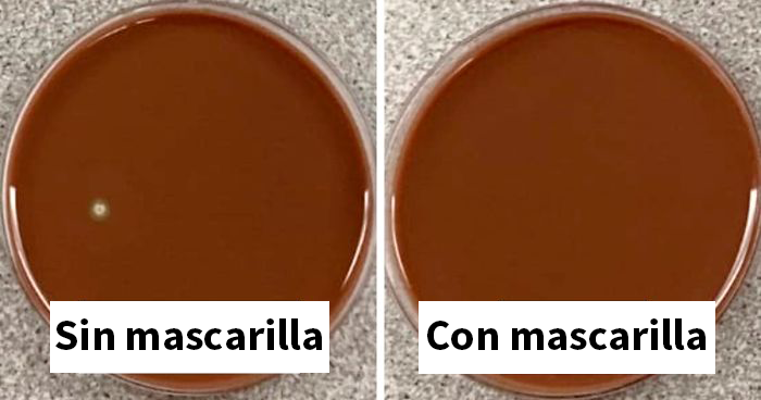 Este científico muestra los efectos de llevar y no llevar mascarilla