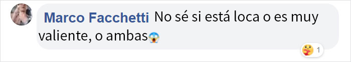 Este oso se acercó sigilosamente a un grupo de tranquilas excursionistas
